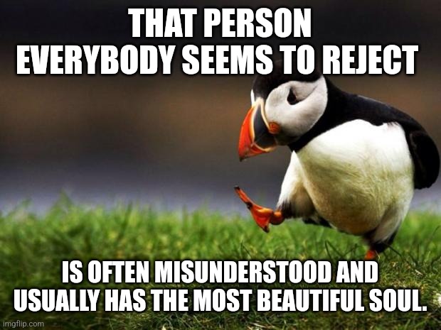 True? | THAT PERSON EVERYBODY SEEMS TO REJECT; IS OFTEN MISUNDERSTOOD AND USUALLY HAS THE MOST BEAUTIFUL SOUL. | image tagged in memes,unpopular opinion puffin,unpopular opinion | made w/ Imgflip meme maker