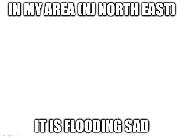 IN MY AREA (NJ NORTH EAST); IT IS FLOODING SAD | made w/ Imgflip meme maker