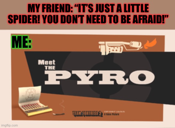 When you see a spider: | MY FRIEND: “IT’S JUST A LITTLE SPIDER! YOU DON’T NEED TO BE AFRAID!”; ME: | image tagged in meet the pyro | made w/ Imgflip meme maker