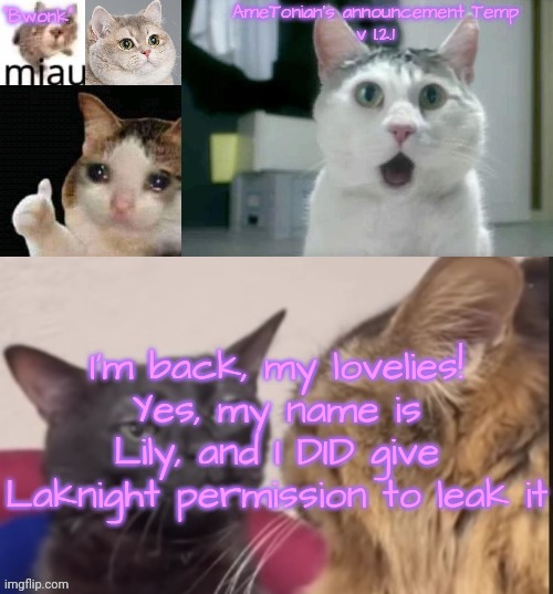 AmeTonian's announcement Temp v 1.2.1 | I'm back, my lovelies!
Yes, my name is Lily, and I DID give Laknight permission to leak it | image tagged in ametonian's announcement temp v 1 2 1 | made w/ Imgflip meme maker