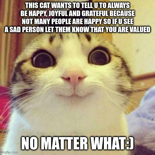 :D | THIS CAT WANTS TO TELL U TO ALWAYS BE HAPPY, JOYFUL AND GRATEFUL BECAUSE NOT MANY PEOPLE ARE HAPPY SO IF U SEE A SAD PERSON LET THEM KNOW THAT YOU ARE VALUED; NO MATTER WHAT:) | image tagged in memes,smiling cat | made w/ Imgflip meme maker