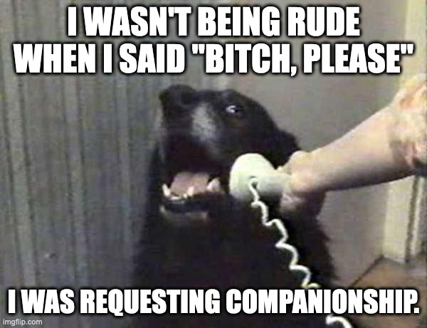 Dog Phone | I WASN'T BEING RUDE WHEN I SAID "BITCH, PLEASE"; I WAS REQUESTING COMPANIONSHIP. | image tagged in dog phone | made w/ Imgflip meme maker