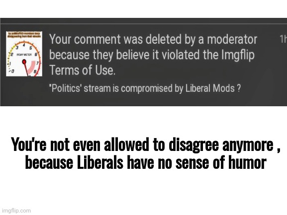 Blank White Template | You're not even allowed to disagree anymore , 
because Liberals have no sense of humor | image tagged in blank white template | made w/ Imgflip meme maker