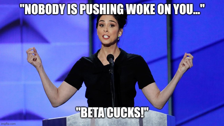 dnc sarah silverman | "NOBODY IS PUSHING WOKE ON YOU..." "BETA CUCKS!" | image tagged in dnc sarah silverman | made w/ Imgflip meme maker