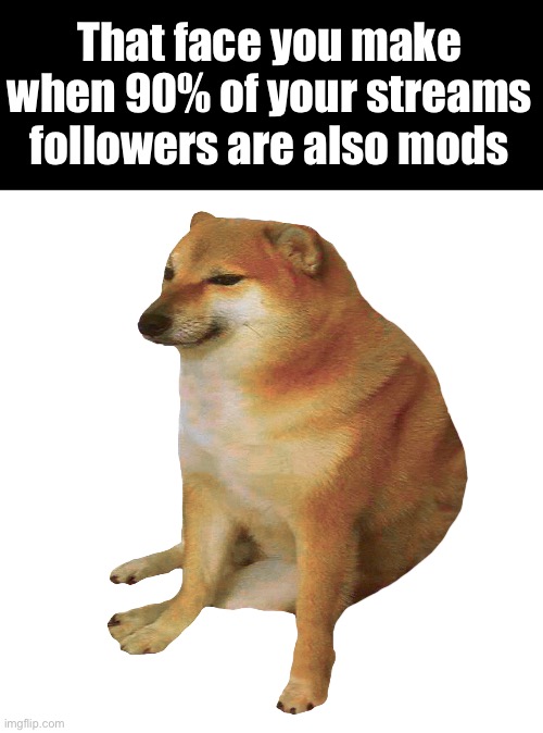 Justacheemsdoge lore: | That face you make when 90% of your streams followers are also mods | image tagged in cheems | made w/ Imgflip meme maker