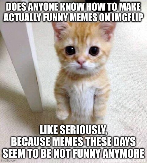 I need some help (give advice in comments below) | DOES ANYONE KNOW HOW TO MAKE ACTUALLY FUNNY MEMES ON IMGFLIP; LIKE SERIOUSLY, BECAUSE MEMES THESE DAYS SEEM TO BE NOT FUNNY ANYMORE | image tagged in memes,cute cat | made w/ Imgflip meme maker