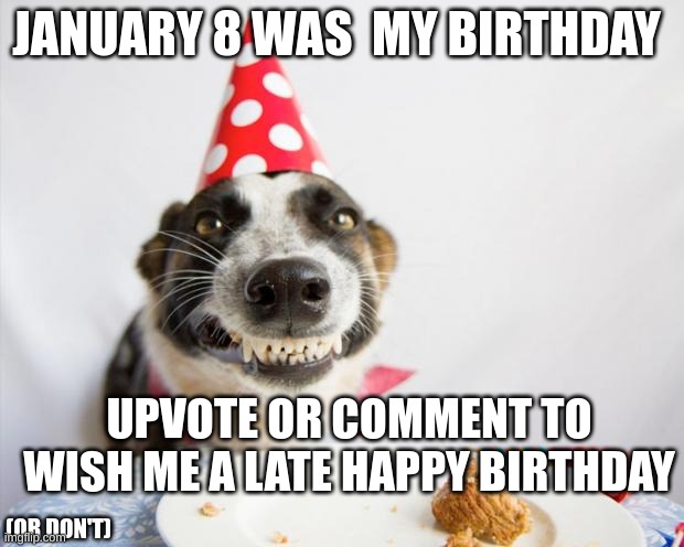 happy late birthday | JANUARY 8 WAS  MY BIRTHDAY; UPVOTE OR COMMENT TO WISH ME A LATE HAPPY BIRTHDAY; (OR DON'T) | image tagged in birthday dog,memes,funny,birthday | made w/ Imgflip meme maker