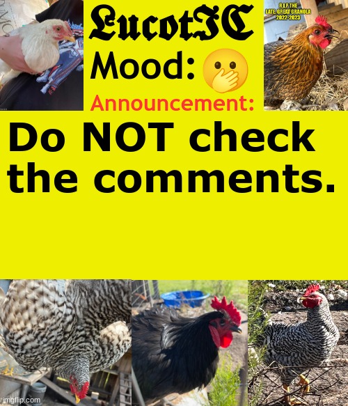 . | 🫢; Do NOT check the comments. | image tagged in lucotic's chicken announcement template | made w/ Imgflip meme maker