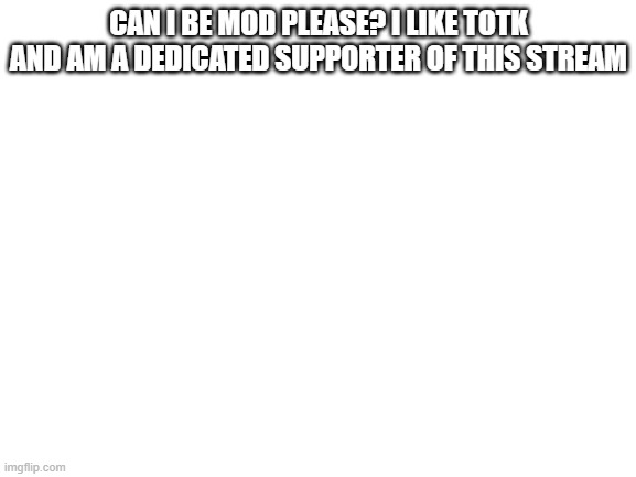 Can i be mod? | CAN I BE MOD PLEASE? I LIKE TOTK AND AM A DEDICATED SUPPORTER OF THIS STREAM | image tagged in blank white template | made w/ Imgflip meme maker