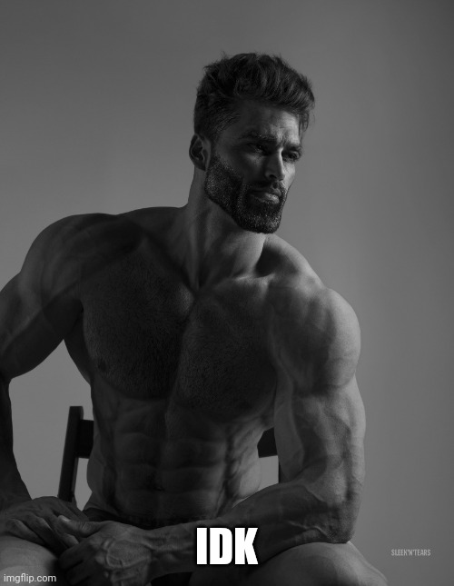 Giga Chad | IDK | image tagged in giga chad | made w/ Imgflip meme maker