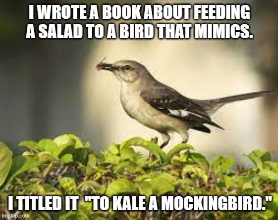 meme by Brad to kale a mockingbird | I WROTE A BOOK ABOUT FEEDING A SALAD TO A BIRD THAT MIMICS. I TITLED IT  "TO KALE A MOCKINGBIRD." | image tagged in birds,humor,meme,funny meme,funny | made w/ Imgflip meme maker