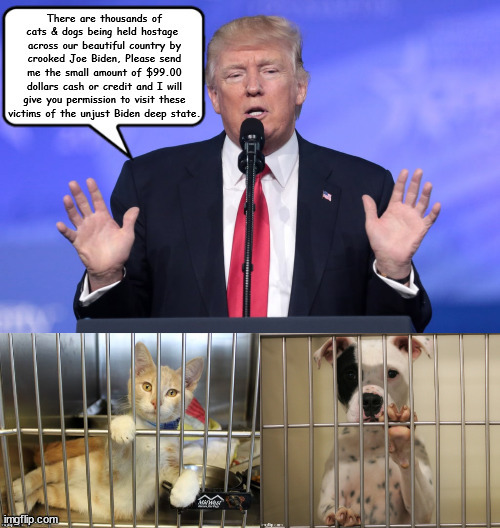 Trump Hostage Scam | image tagged in trump scam,maga,hostages,victim,rubes,animal shelter | made w/ Imgflip meme maker