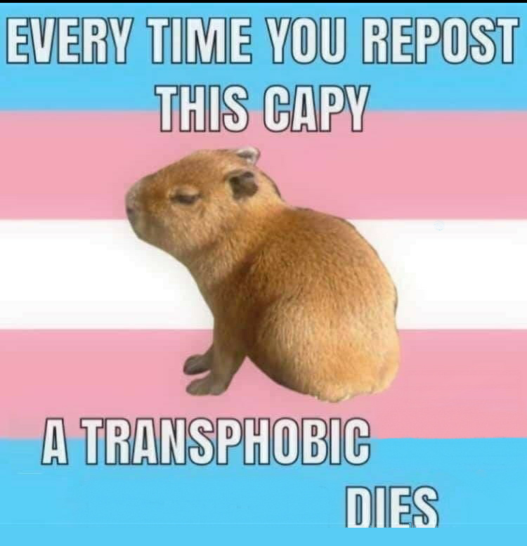 Trans Capy (resized) Blank Meme Template