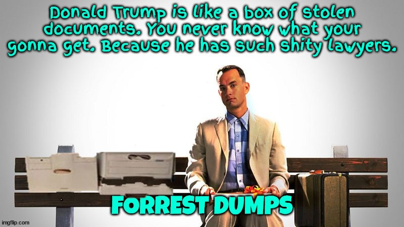 Forrest Drumpf | image tagged in forrest gump,donald trump,stolen documents,maga,esionage,guilty | made w/ Imgflip meme maker