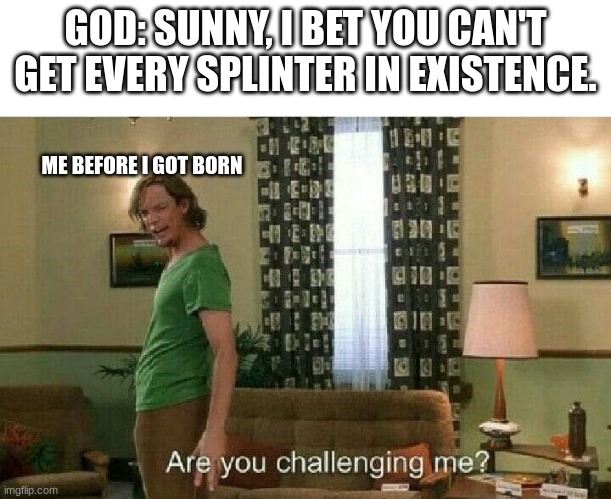 God challenged me, so I did | GOD: SUNNY, I BET YOU CAN'T GET EVERY SPLINTER IN EXISTENCE. ME BEFORE I GOT BORN | image tagged in are you challenging me | made w/ Imgflip meme maker