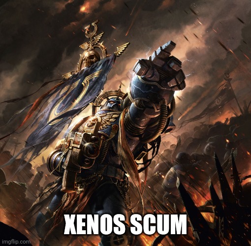 Space Marine | XENOS SCUM | image tagged in space marine | made w/ Imgflip meme maker