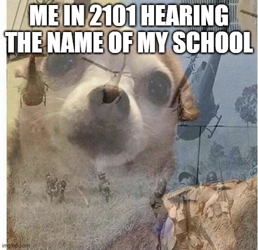 why did you have to bring up the name of the war between that cursed area and my sanity | ME IN 2101 HEARING THE NAME OF MY SCHOOL | image tagged in ptsd chihuahua | made w/ Imgflip meme maker