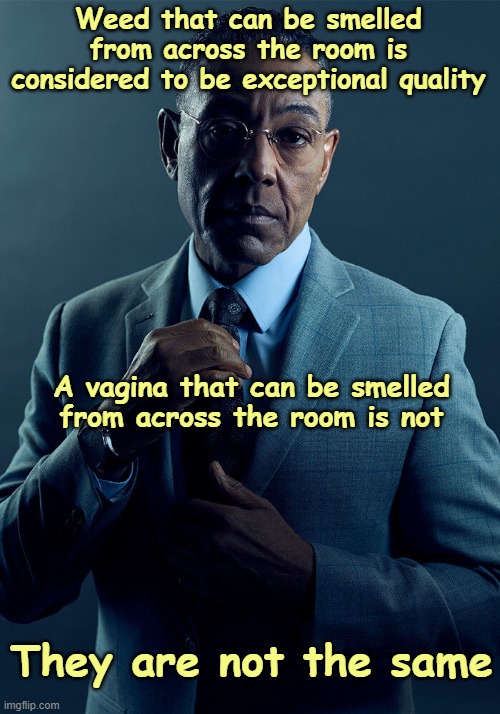 Gus Fring we are not the same | Weed that can be smelled from across the room is considered to be exceptional quality A vagina that can be smelled from across the room is n | image tagged in gus fring we are not the same | made w/ Imgflip meme maker