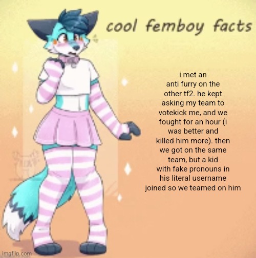 good ending | i met an anti furry on the other tf2. he kept asking my team to votekick me, and we fought for an hour (i was better and killed him more). then we got on the same team, but a kid with fake pronouns in his literal username joined so we teamed on him | image tagged in cool femboy facts | made w/ Imgflip meme maker