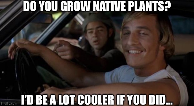 It'd Be A Lot Cooler If You Did | DO YOU GROW NATIVE PLANTS? I’D BE A LOT COOLER IF YOU DID… | image tagged in it'd be a lot cooler if you did,plants,lawn,gardening,memes,meme | made w/ Imgflip meme maker