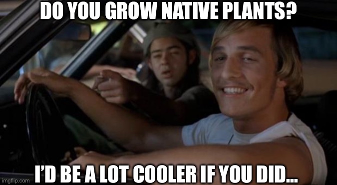 It'd Be A Lot Cooler If You Did | DO YOU GROW NATIVE PLANTS? I’D BE A LOT COOLER IF YOU DID… | image tagged in it'd be a lot cooler if you did,memes,meme,plants,gardening,lawn | made w/ Imgflip meme maker