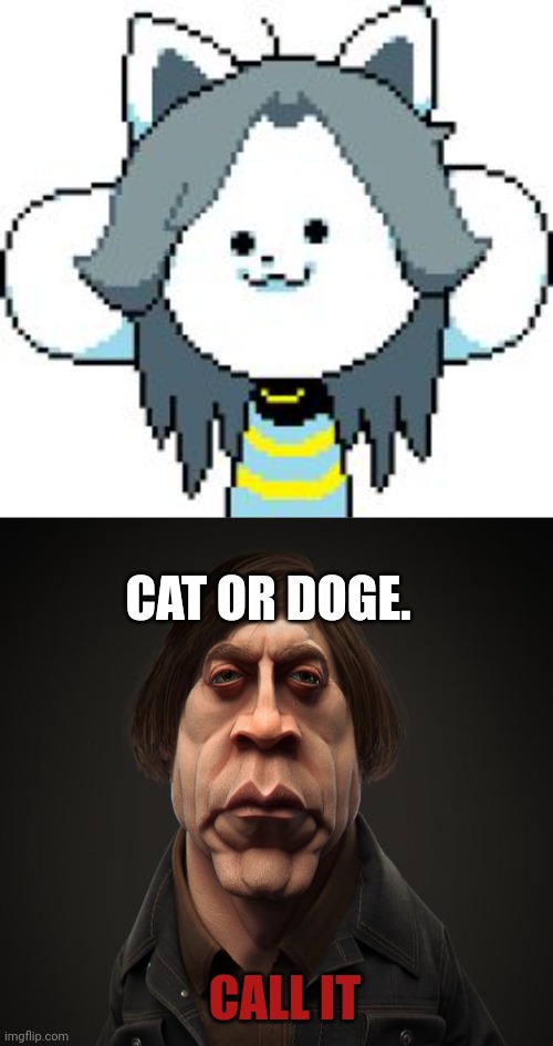 CAT OR DOGE. CALL IT | image tagged in temmie,call it,cat,doge | made w/ Imgflip meme maker