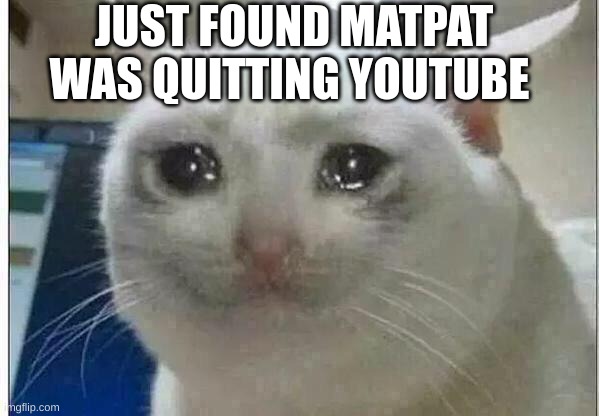 :( | JUST FOUND MATPAT WAS QUITTING YOUTUBE | image tagged in crying cat | made w/ Imgflip meme maker