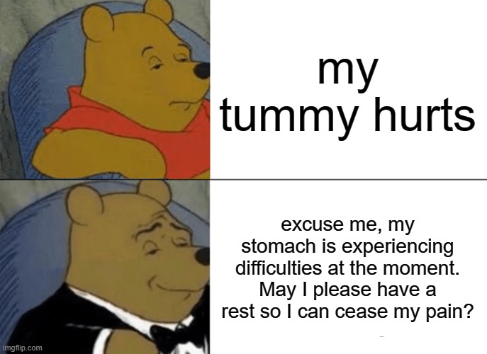 me versus the kindy student | my tummy hurts; excuse me, my stomach is experiencing difficulties at the moment. May I please have a rest so I can cease my pain? | image tagged in memes,tuxedo winnie the pooh | made w/ Imgflip meme maker
