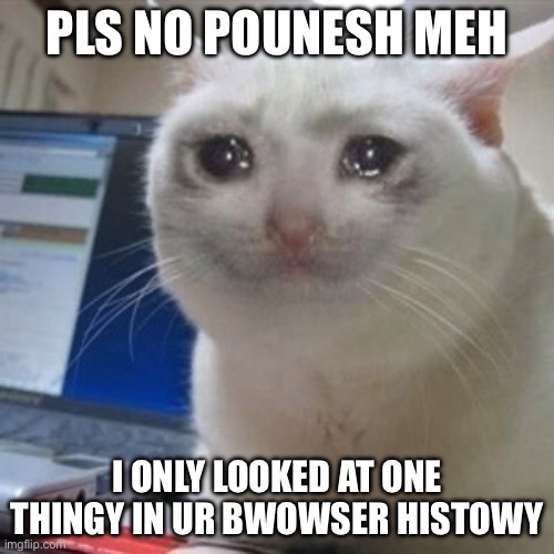 Crying cat | PLS NO POUNESH MEH; I ONLY LOOKED AT ONE THINGY IN UR BWOWSER HISTOWY | image tagged in crying cat | made w/ Imgflip meme maker