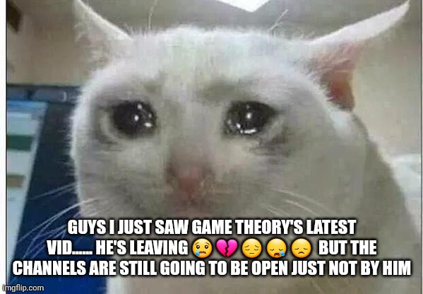 NOOOOOOO OH MY GOD | GUYS I JUST SAW GAME THEORY'S LATEST VID...... HE'S LEAVING 😢 💔 😔 😪 😞  BUT THE CHANNELS ARE STILL GOING TO BE OPEN JUST NOT BY HIM | image tagged in crying cat | made w/ Imgflip meme maker