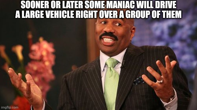 Steve Harvey Meme | SOONER OR LATER SOME MANIAC WILL DRIVE A LARGE VEHICLE RIGHT OVER A GROUP OF THEM | image tagged in memes,steve harvey | made w/ Imgflip meme maker