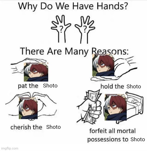 Why do we have hands? (all blank) | Shoto; Shoto; Shoto; Shoto | image tagged in why do we have hands all blank | made w/ Imgflip meme maker
