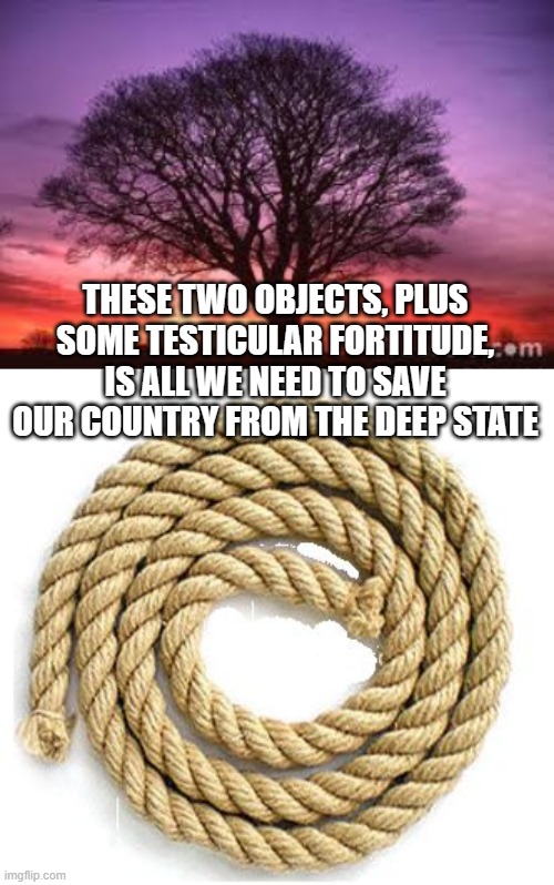 THESE TWO OBJECTS, PLUS SOME TESTICULAR FORTITUDE, IS ALL WE NEED TO SAVE OUR COUNTRY FROM THE DEEP STATE | image tagged in tree,rope | made w/ Imgflip meme maker