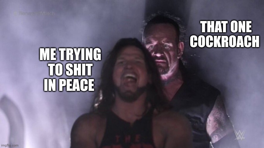 Funny, life, meme | THAT ONE COCKROACH; ME TRYING TO SHIT IN PEACE | image tagged in aj styles undertaker | made w/ Imgflip meme maker