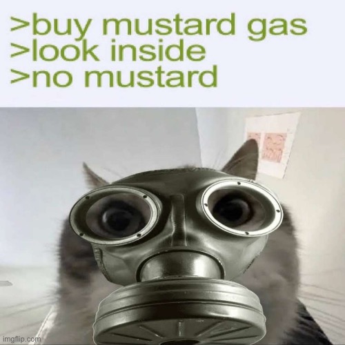 day ruined | made w/ Imgflip meme maker