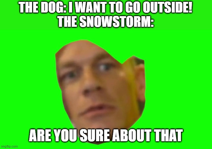 bad meme | THE DOG: I WANT TO GO OUTSIDE!
THE SNOWSTORM:; ARE YOU SURE ABOUT THAT | image tagged in are you sure about that cena | made w/ Imgflip meme maker