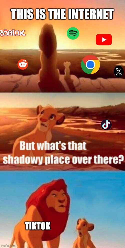 Simba Shadowy Place Meme | THIS IS THE INTERNET; TIKTOK | image tagged in memes,simba shadowy place | made w/ Imgflip meme maker