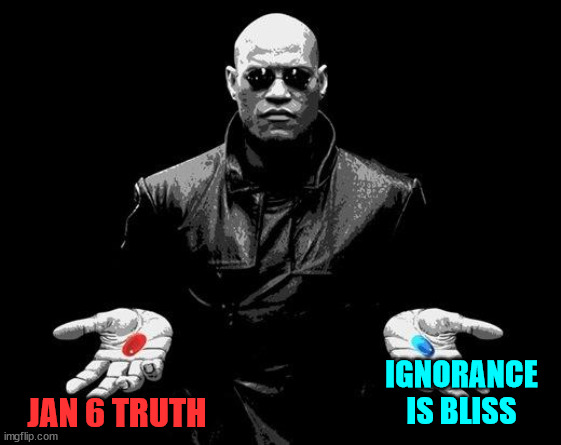 What really happened on January 6? | IGNORANCE IS BLISS; JAN 6 TRUTH | image tagged in matrix morpheus offer,jan 6 truth,remain ignorant,your trump hate is all consuming | made w/ Imgflip meme maker