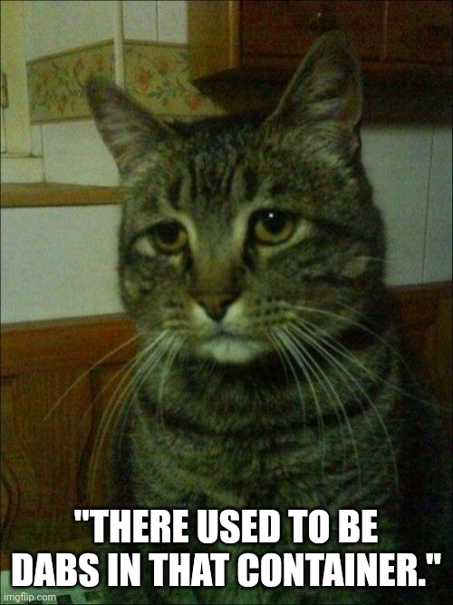Out of Dab Cat | "THERE USED TO BE DABS IN THAT CONTAINER." | image tagged in memes,depressed cat,weed | made w/ Imgflip meme maker