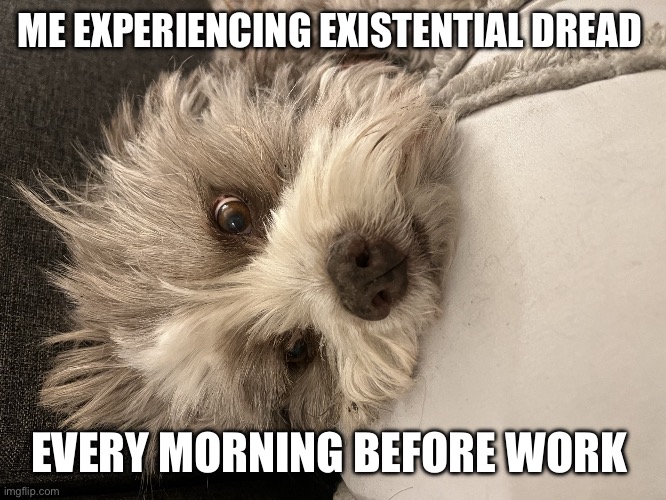 Waking up every morning | ME EXPERIENCING EXISTENTIAL DREAD; EVERY MORNING BEFORE WORK | image tagged in waking up every morning | made w/ Imgflip meme maker