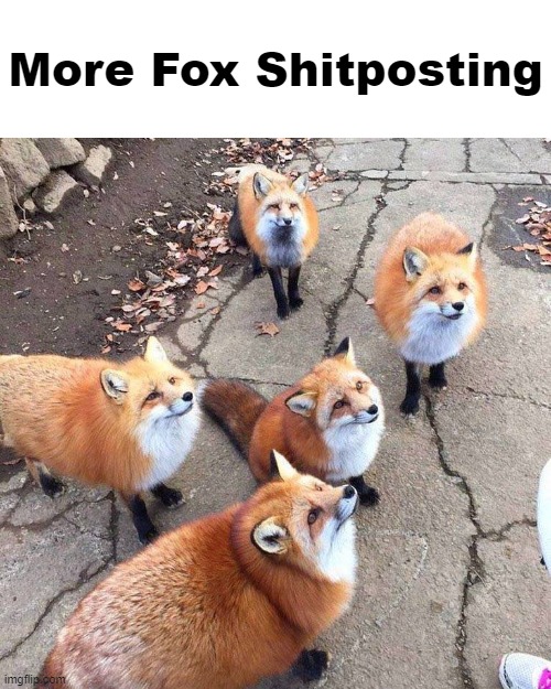 Fox Skulk | More Fox Shitposting | image tagged in fox skulk,fox,shitpost | made w/ Imgflip meme maker