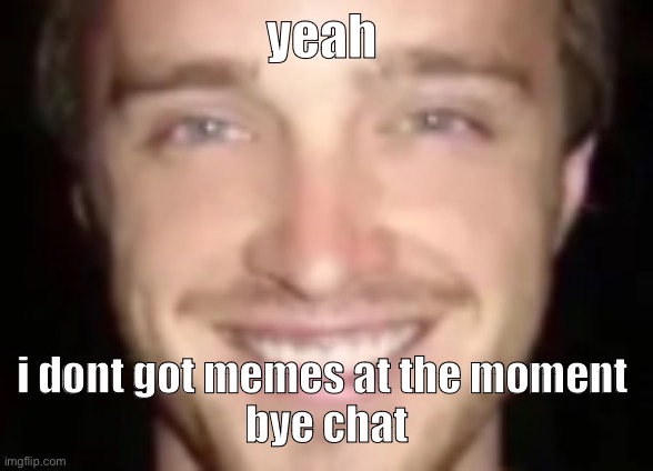 jesse painman | yeah; i dont got memes at the moment 
bye chat | image tagged in jesse painman | made w/ Imgflip meme maker