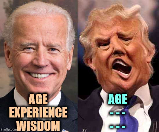 Th-th-that's all folks! | AGE
EXPERIENCE
WISDOM; AGE
- - -
- - - | image tagged in biden solid stable trump acid drugs,biden,wisdom,experience,trump,old | made w/ Imgflip meme maker