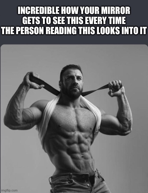 I agree | INCREDIBLE HOW YOUR MIRROR GETS TO SEE THIS EVERY TIME THE PERSON READING THIS LOOKS INTO IT | image tagged in refuses to elaborate any further,wholesome,giga chad | made w/ Imgflip meme maker