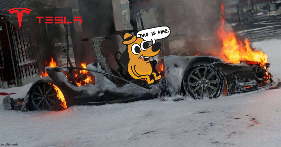 Teslas is fine | image tagged in this is fine dog,electric cars,fire | made w/ Imgflip meme maker