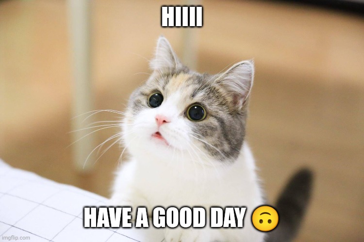 cute cat | HIIII; HAVE A GOOD DAY 🙃 | image tagged in cute cat | made w/ Imgflip meme maker