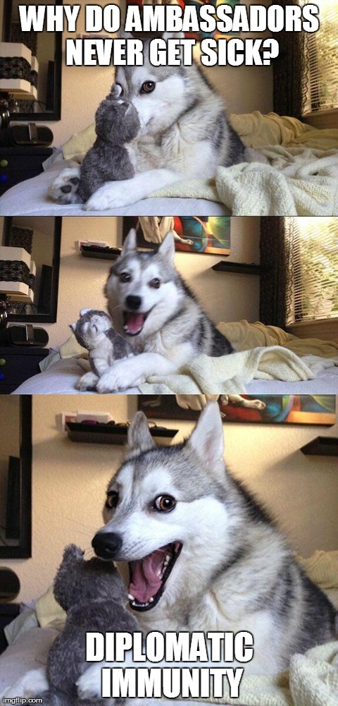 Bad Pun Dog Meme | WHY DO AMBASSADORS NEVER GET SICK? DIPLOMATIC IMMUNITY | image tagged in memes,pun dog,puns,funny,dumb pun | made w/ Imgflip meme maker