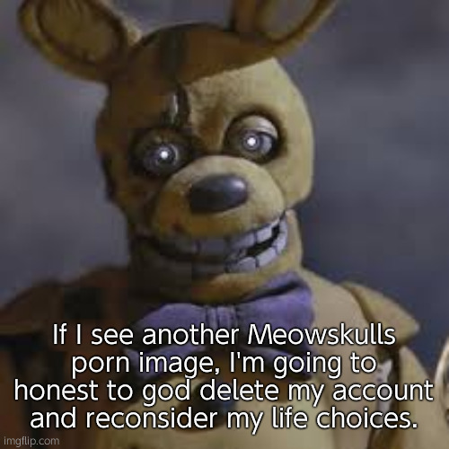 Springbonnie | If I see another Meowskulls porn image, I'm going to honest to god delete my account and reconsider my life choices. | image tagged in springbonnie | made w/ Imgflip meme maker