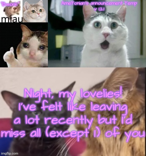 AmeTonian's announcement Temp v 1.2.1 | Night, my lovelies!
I've felt like leaving a lot recently but I'd miss all (except 1) of you | image tagged in ametonian's announcement temp v 1 2 1 | made w/ Imgflip meme maker