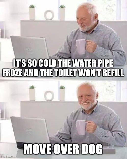 Hide the Pain Harold Meme | IT’S SO COLD THE WATER PIPE FROZE AND THE TOILET WON’T REFILL MOVE OVER DOG | image tagged in memes,hide the pain harold | made w/ Imgflip meme maker